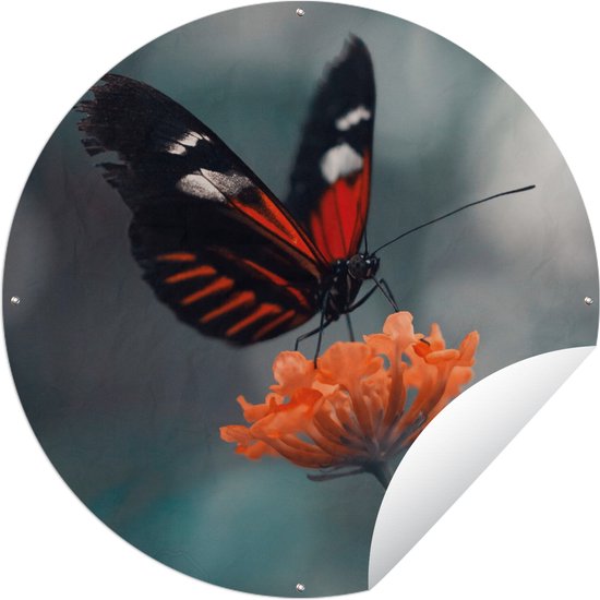 Tuincirkel Vlinder - Bloemen - Insect - 60x60 cm - Ronde Tuinposter - Buiten