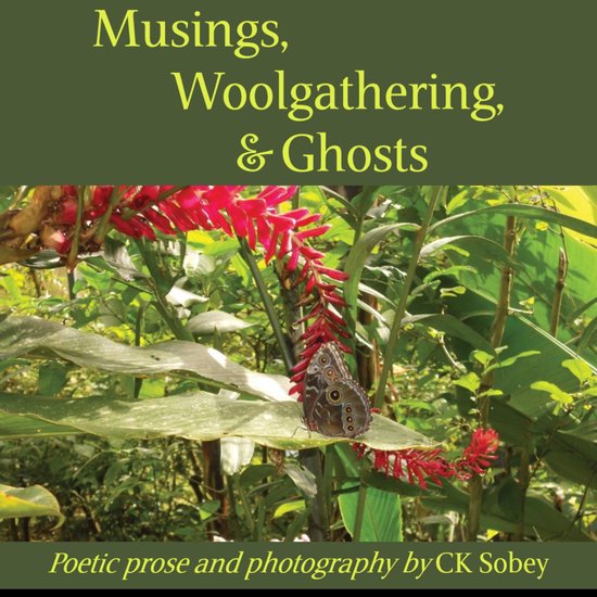 Musings, Woolgathering, & Ghosts - cover