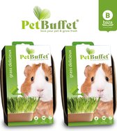 Pet-Buffet grass delicieux 6x gras kweken voor je cavia