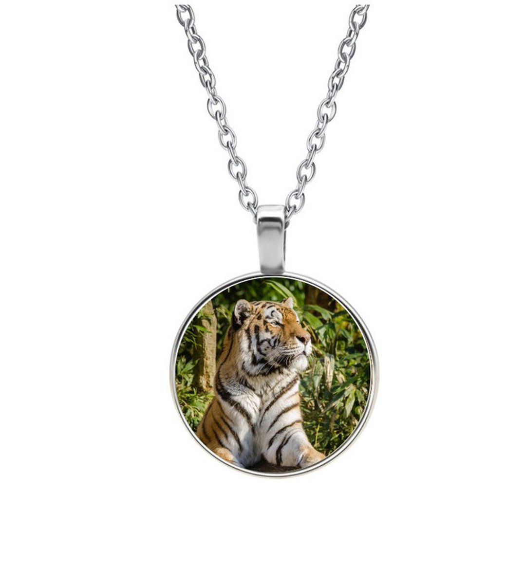 Ketting Glas - Tijger