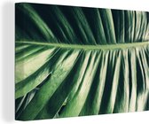 Canvas Schilderij Bladeren - Tropisch - Jungle - 60x40 cm - Wanddecoratie