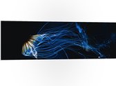 WallClassics - PVC Schuimplaat - Geel met Blauwe Kwal onder Water - 120x40 cm Foto op PVC Schuimplaat (Met Ophangsysteem)