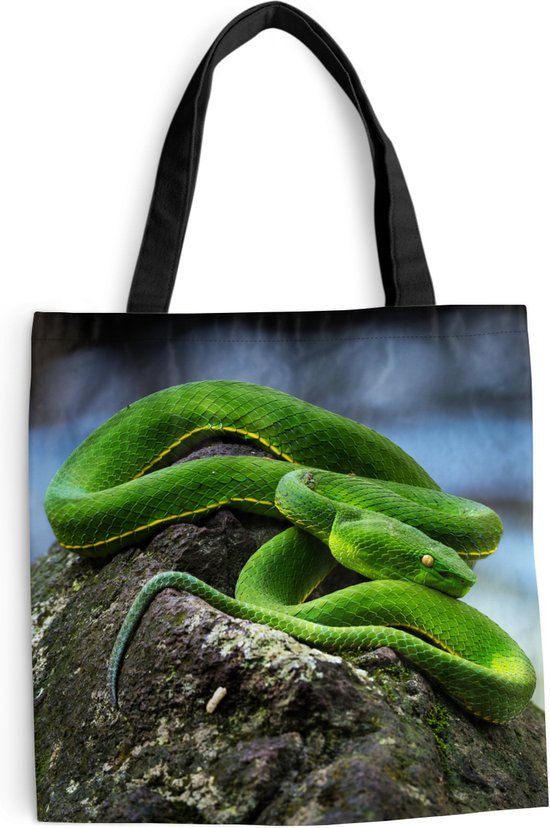 Schoudertas Strandtas - Shopper Groene slang op - 45x45 cm - Katoenen tas | bol.com