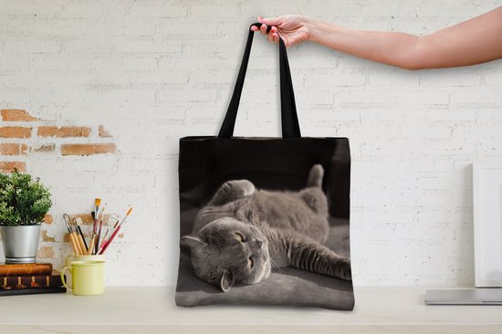 MuchoWow® Schoudertas - Strandtas - Big Shopper - Boodschappentas - Dier - Poes - Grijs - 45x45 cm - Katoenen tas