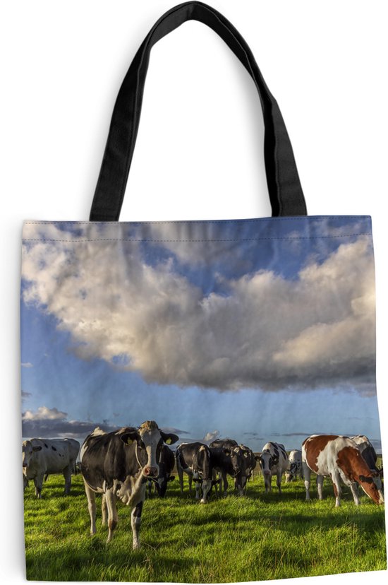 TEUEN Handtas voor dames, groot, lichte nylon tote bag, schoudertas, shopper, tas, dames, crossbody tas, handtas, schoudertas voor werk, reizen, kantoor, winkelen, school (23 l