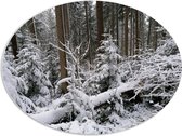 WallClassics - Panneau de mousse PVC ovale - Forêt enneigée - 96x72 cm Photo sur ovale (avec système de suspension)