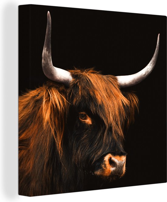 Schotse Hooglander koe stier schilderij te koop - Marjolein Kruijt