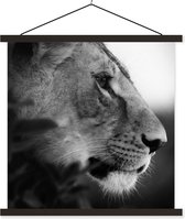 Porte-affiche avec affiche - Affiche scolaire - Lion - Animaux sauvages - Jungle - Zwart - Wit - 40x40 cm - Lattes noires