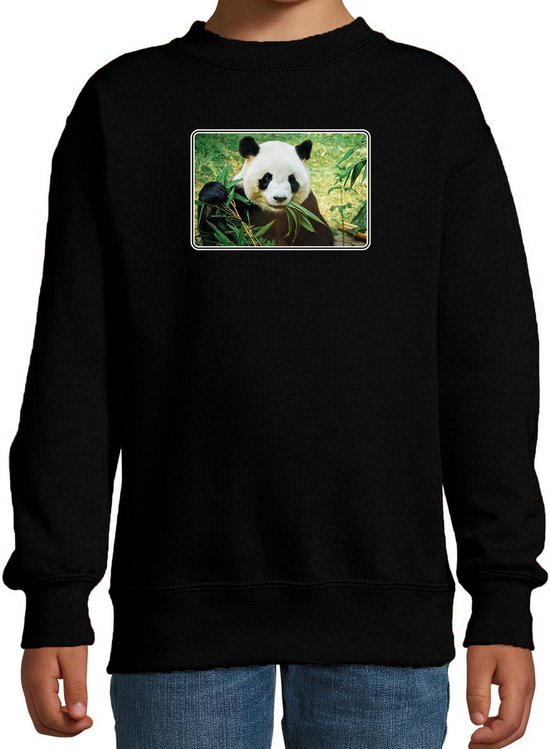 Dieren sweater met pandaberen foto - zwart - voor kinderen - natuur / panda cadeau trui - kleding / sweat shirt 134/146