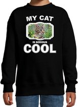 Bruine kat katten trui / sweater my cat is serious cool zwart - kinderen - katten / poezen liefhebber cadeau sweaters - kinderkleding / kleding 134/146