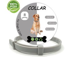 Igoods Vlooienband hond - Vlooienband kat - Alle Honden & Katten - One Size Fits All - Anti Vlooien en Tekenmiddel - Tekenband - 8 Maanden Bescherming - Diervriendelijk