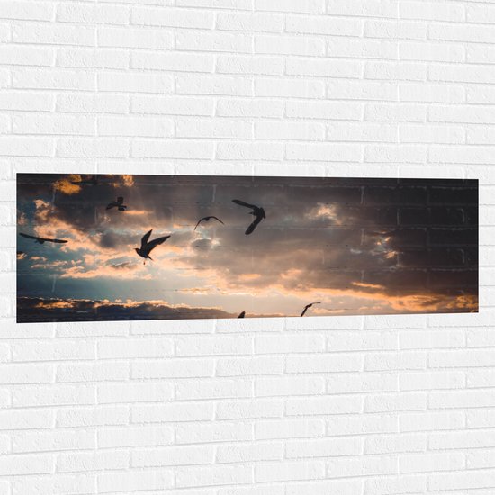WallClassics - Sticker Muursticker - Vogels dans le Ciel au Coucher du Soleil - 150x50 cm Photo sur Sticker Muursticker