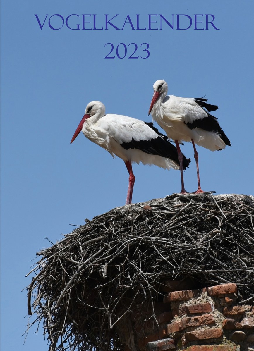 Maandkalender 2023 - Vogel kalender - incl. 10 wenskaarten - Maand - A4 - Dieren