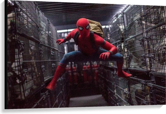 Toile - Spiderman at Cages - 120x80cm Photo sur Toile Peinture (Décoration  murale sur