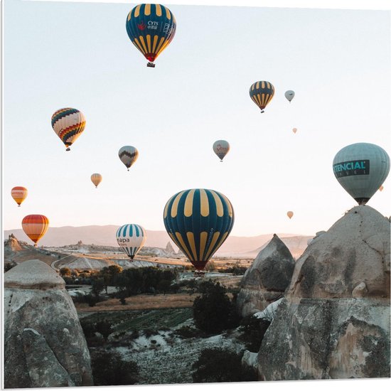 Forex - Meerde Luchtballonnen in de Lucht - 80x80cm Foto op Forex