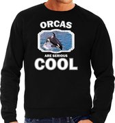 Dieren orka walvissen sweater zwart heren - orcas are serious cool trui - cadeau sweater grote orka/ orka walvissen liefhebber M