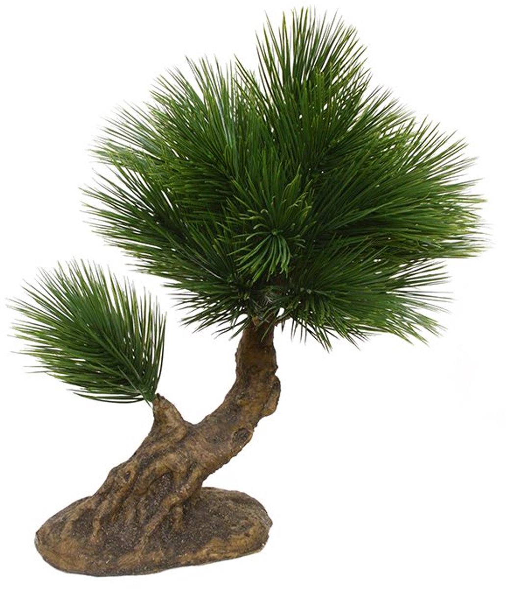 maxifleur Kunstplanten Pinus mini kunstbonsai op voet 35cm Groen