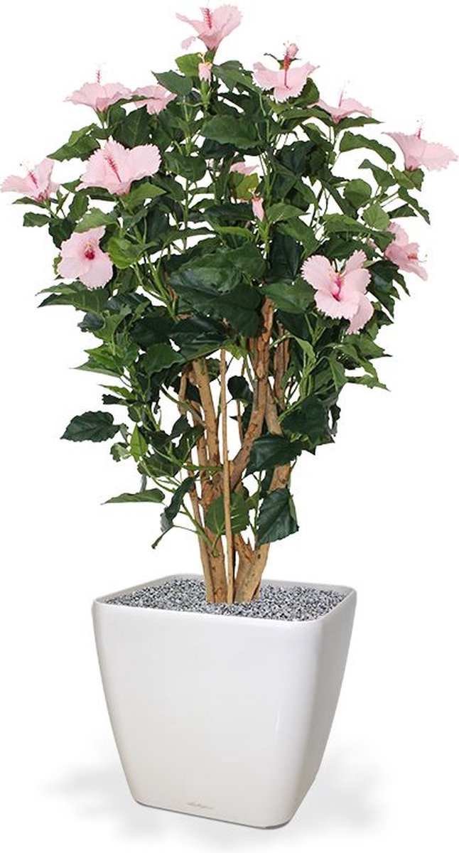 Hibiscus Deluxe rose 100cm