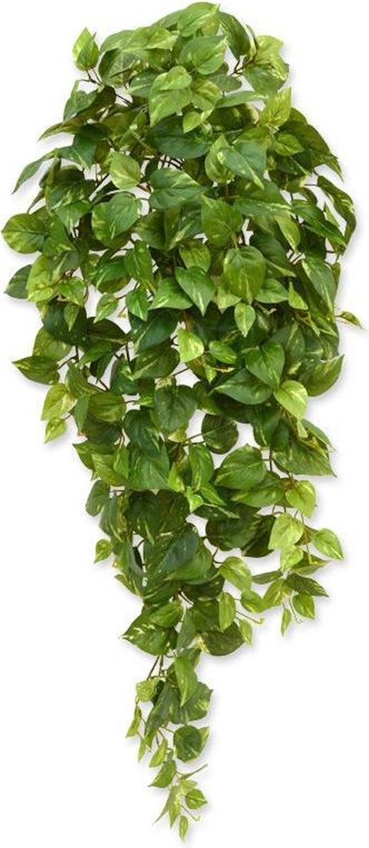 Maxifleur Scindapsus kunst hangplant 100cm - bont