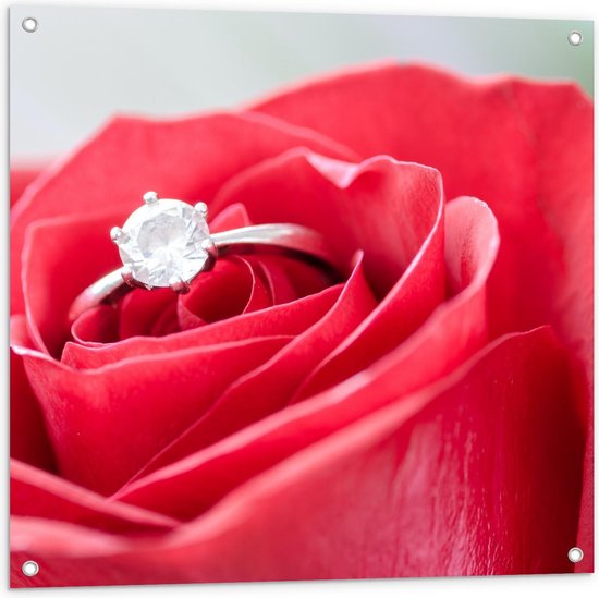Tuinposter – Ring in Rode Roos - 80x80cm Foto op Tuinposter  (wanddecoratie voor buiten en binnen)