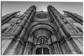 Dibond - Kathedraal La Seu (zwart/wit) - 60x40cm Foto op Aluminium (Met Ophangsysteem)