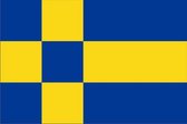 Vlag gemeente Tilburg 200x300 cm