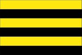 Vlag gemeente Schiedam 150x225 cm