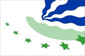 Vlag gemeente Drimmelen 150x225 cm