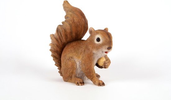 Écureuil avec gland
