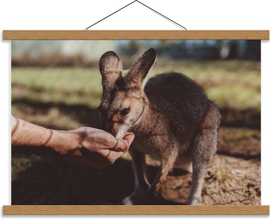 Schoolplaat – Grijze Kangoeroe Drinkt uit Hand - 60x40cm Foto op Textielposter (Wanddecoratie op Schoolplaat)