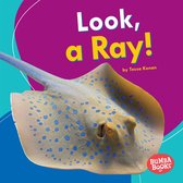Bumba Books ® — I See Ocean Animals - Look, a Ray!