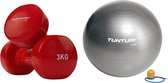 Tunturi - Fitness Set - Vinyl Dumbbell 2 x 3 kg  - Gymball Zilver 65 cm