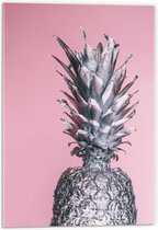 Acrylglas - Zilvere Ananas met Roze Achtergrond - 40x60cm Foto op Acrylglas (Met Ophangsysteem)