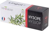 Véritable® Lingot® Organic Hyssop - BIO HYSSOP navulling voor alle Véritable® binnenmoestuin-toestellen