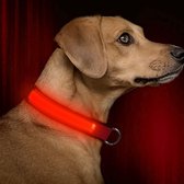 Oranje LED halsband Maat L | honden halsband met verlichting | Licht in donker | 3 standen | LED hondenhalsband | LED hondenhalsband | LED hondenriem | LED hondenriem | Led hondent
