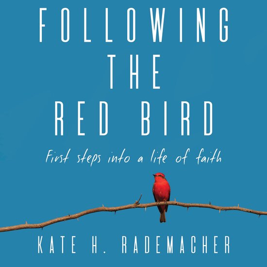 Following the Red Bird - cover