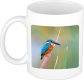 Dieren ijsvogel foto mok 300 ml - cadeau beker / mok vogels liefhebber