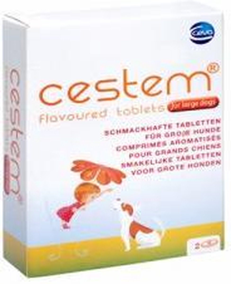 Cestem L Grote Hond 2 tabletten | bol.com