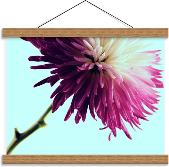 Schoolplaat – een Mooie Paarse Bloem - 40x30cm Foto op Textielposter (Wanddecoratie op Schoolplaat)