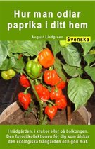 Hur man odlar paprika i ditt hem. I trädgården, i krukor eller på balkongen