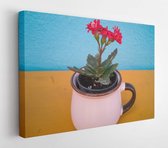 Onlinecanvas - Schilderij - Close Up Photo Potted Plant Art Horizontal Horizontal - Multicolor - 75 X 115 Cm