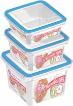 Diepvries/koelkast voedsel bewaarbakjes set van 8x stuks diverse formaten in 1 - 1.5 - 2 liter inhoud