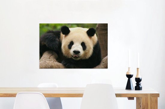 Toile aquarelle bébé panda, 60 x 80 cm, impressions d'animaux de