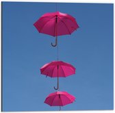 Dibond - Roze Paraplu's hangend in de Lucht - 50x50cm Foto op Aluminium (Wanddecoratie van metaal)