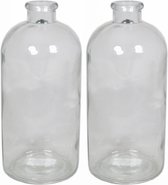 Set van 2x stuks glazen vaas/vazen 2 liter met smalle hals 11 x 20 cm - 2000 ml - Bloemenvazen van glas