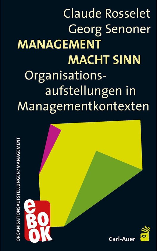 Management - Management Macht Sinn - cover