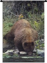 Wandkleed Drinkende beren - Bruine beer drink uit een rivier Wandkleed katoen 60x90 cm - Wandtapijt met foto