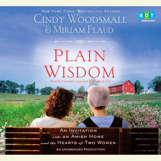 Plain Wisdom - cover