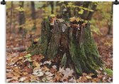 Wandkleed Bemoste bomen - Kleine stronk van een boom bedekt in mos Wandkleed katoen 120x90 cm - Wandtapijt met foto