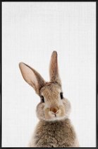 JUNIQE - Poster in kunststof lijst Baby konijn kleurenfoto -30x45